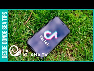 ¿Táctica electoral? Trump ahora espera recuperar puntos en las encuestas cerrando TikTok