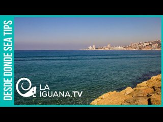 ¿Cómo interpretar la catástrofe de Beirut?