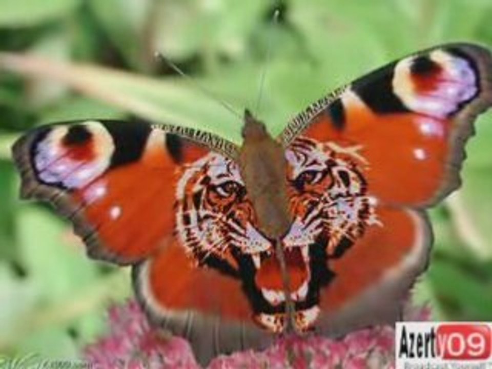 Lorsque les graphistes s'ennuient...