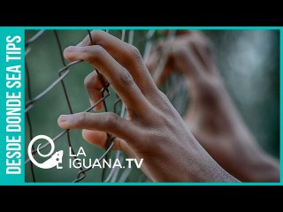 Después de Uribe, ¿terminará en la cárcel también Iván Duque por fraude electoral?