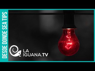 ¡Alerta máxima! Trump busca una "sorpresa de octubre" para ser reelecto invadiendo a Venezuela