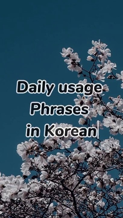 Korean phrases