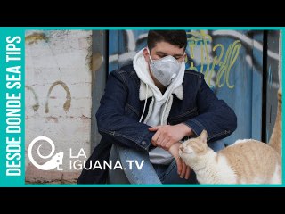 ¿Por qué el gobierno venezolano ha manejado la pandemia de Covid-19 de forma tan estricta?