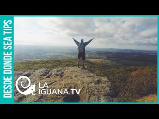 Es absurdo nacer e inútil morir: el drama de la libertad en el pensamiento existencialista