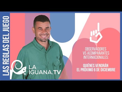 Observadores vs acompañantes internacionales: ¿Quiénes vendrán el próximo 6 de diciembre?