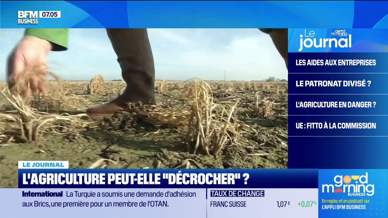 Pire récolte de blé, production de fruits en baisse... La filière agricole française peut-elle "décrocher"?