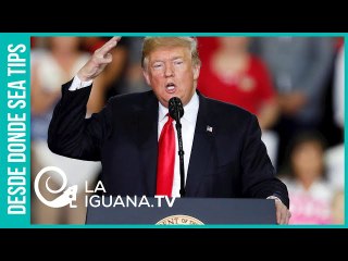 ¡Ya no sabe de dónde agarrarse para subir en las encuestas! Este fue el último delirio de Trump