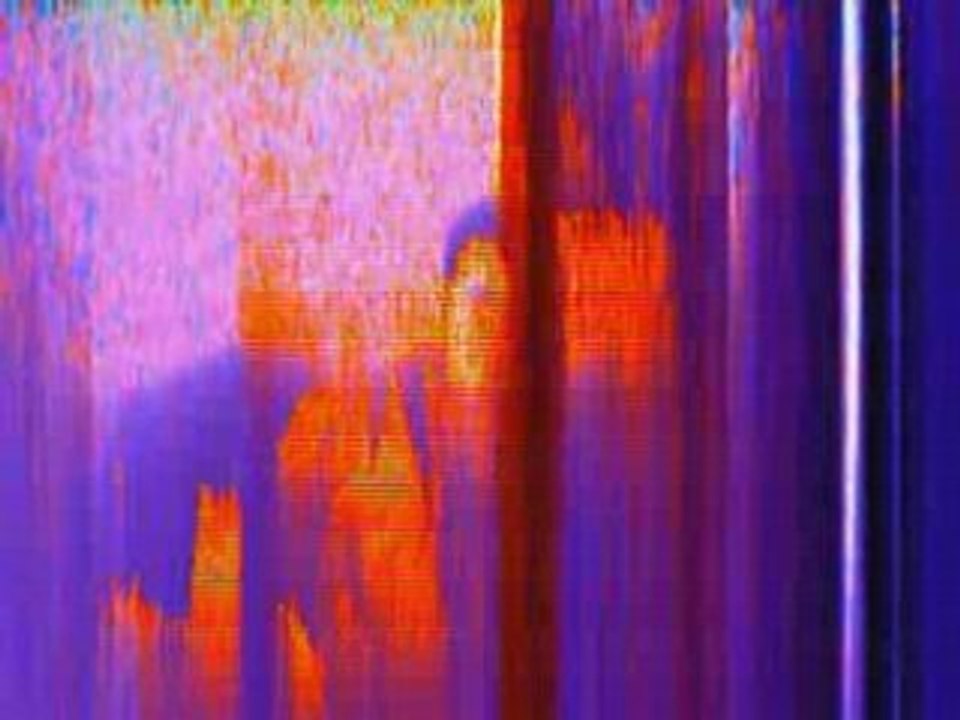 Tecktonik jojo-teck et cacal!!!