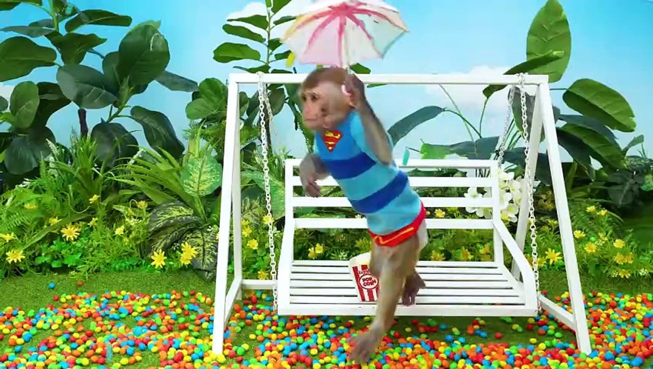 Baby monkey brought milk bottle jelly
