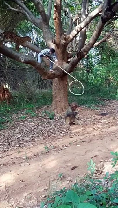 Monkey fun