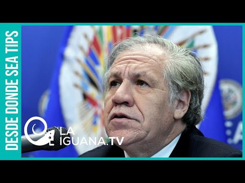 Almagro sigue reivindicando el golpe de estado en Bolivia y ahora quiere dar otro en Venezuela