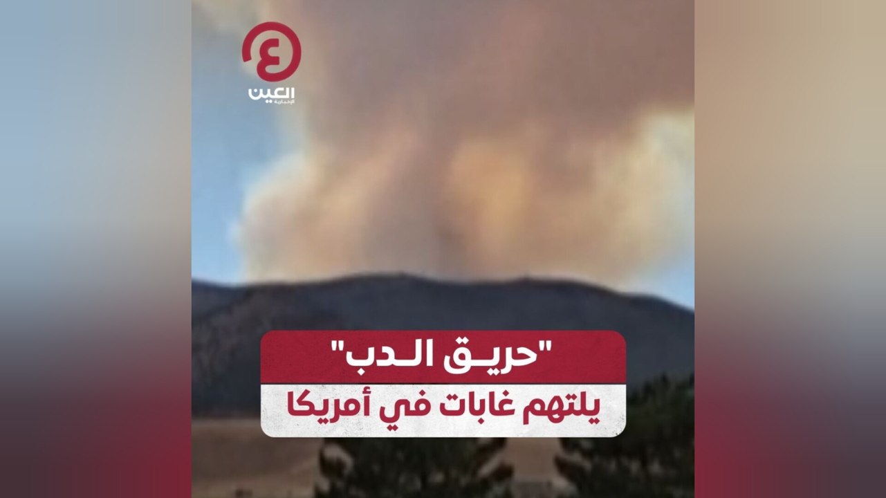 "حريق الدب" يلتهم غابات في أمريكا
