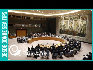 ¿Cómo pueden 50 países reivindicar el rol de "Comunidad internacional": El caso de Venezuela