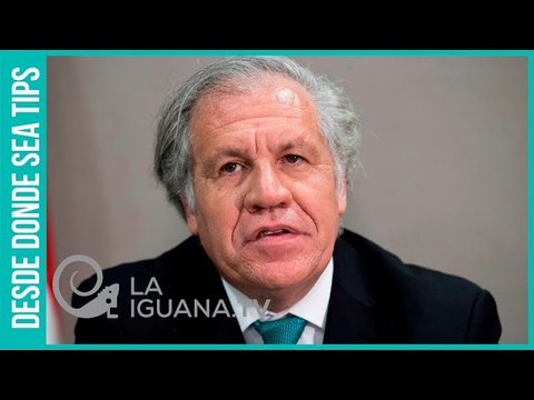 ¿Qué dijo Almagro sobre las presuntas irregularidades en el voto denunciadas por Trump en EEUU?