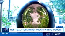 Hydrophonic Systems Allows for indoor Farming, CTV News 01.09.2024 Canada