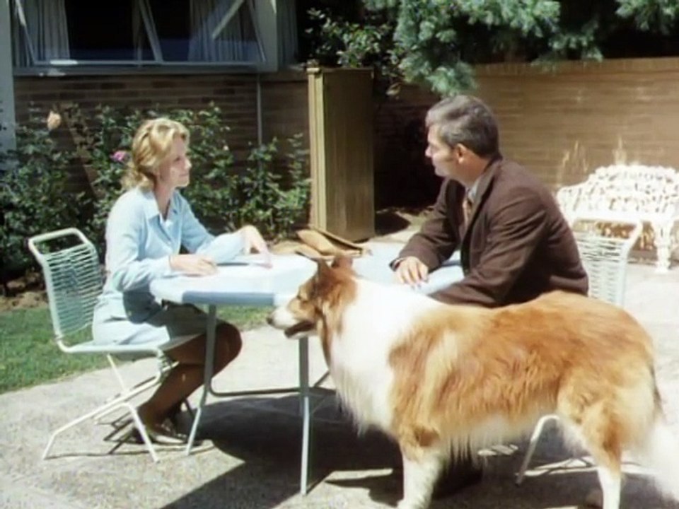 Lassie-Ich höre dich Lassie