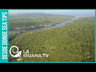 ¡Parece un chiste pero es verdad! "Gobierno" de Merino en 24 horas entregó parte del Amazonas