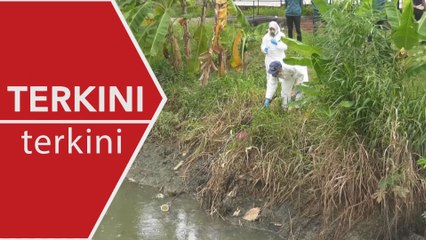 [TERKINI] JAS sahkan bacaan gas ammonia lepasi tahap normal di Sungai Pandan