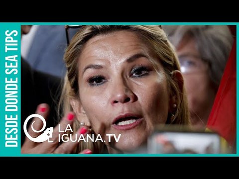Caradurismo a millón: Golpista Jeanine Áñez se da el lujo de opinar sobre elecciones en Venezuela