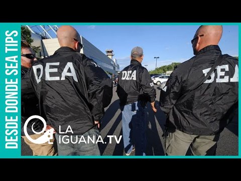 Plan Colombia persigue campesinos pobres mientras narcos gringos se vuelven millonarios