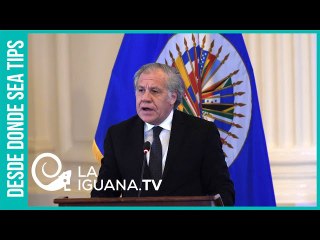 ¡Alerta máxima! La OEA está planificando golpe de Estado en Venezuela al estilo de Bolivia