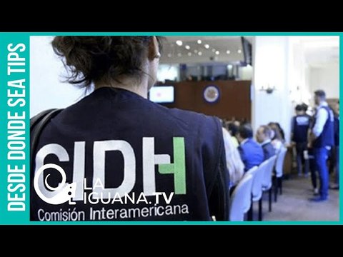 ¿Cuáles son los instrumentos de las Naciones Unidas para salvaguardar los derechos humanos?