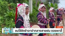 ชมแสงสุดท้าย ดูควายฝูงสุดท้ายบนเกาะหมาก | เป็นข่าวเล่าเรื่อง | 4 ก.ย. 67  | PART 2