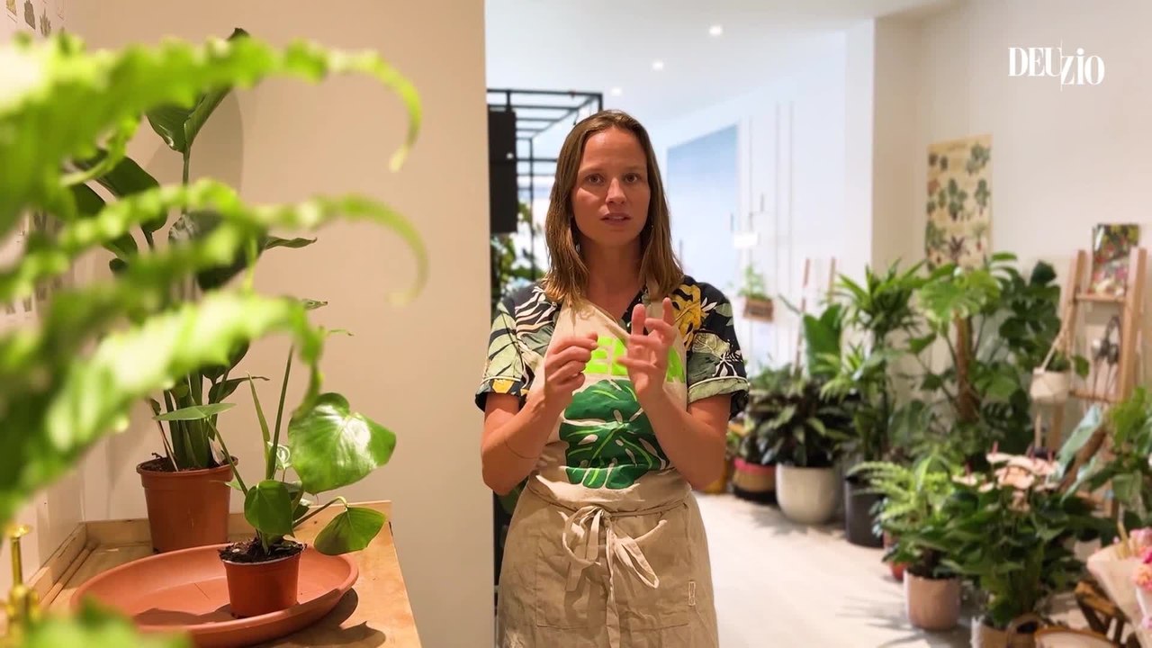 Comment rempoter une plante comme une pro