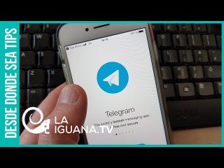 ¿Por qué millones de usuarios de Whatsapp están migrando a Telegram?