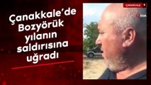 Çanakkale'de Bozyörük yılanın saldırısına uğradı