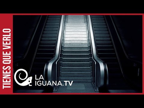 OJO En los próximos días presentarán propuesta para pago del transporte público sin efectivo