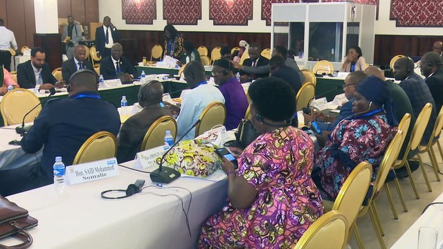 Le Réseau africain des parlementaires contre la crise climatique créé