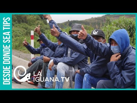 ¿Cómo afectó la pandemia de Covid-19 a los migrantes venezolanos?