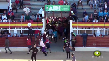 Susto a la entrada de la Plaza de Toros - San Antolín 2024 Medina del Campo