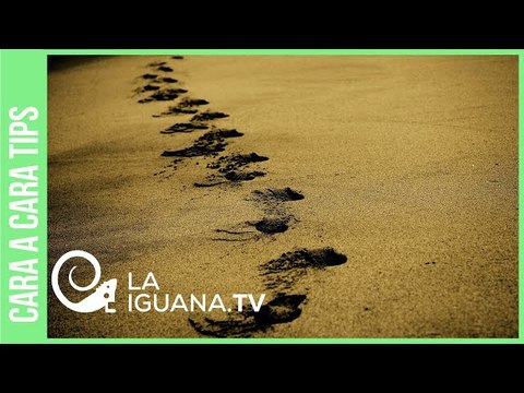 La dura advertencia de Jaua: Descalificaciones entre la izquierda abren paso a una derecha feroz