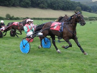 Wales & Border Counties Harness Racing at New Radnor