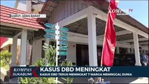Kasus DBD Terus Meningkat 7 Warga Meninggal Dunia