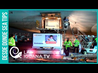 Guerra de vacunas ¿Cuál es la verdadera capacidad de producción de las farmacéuticas?