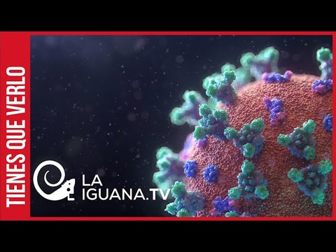 Preocupante: Variante brasileña del Covid-19 llegó a Venezuela