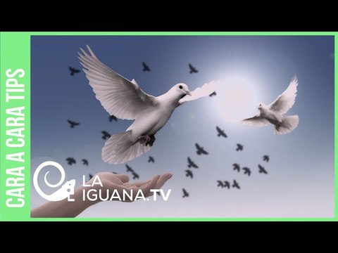 Lucha contra la inseguridad: ¿Cómo funcionan los Cuadrantes de Paz en Venezuela?