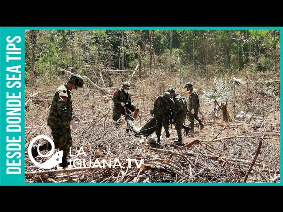 Falsos positivos sin escrúpulos: Gobierno colombiano masacra niños y los disfraza de guerrilleros