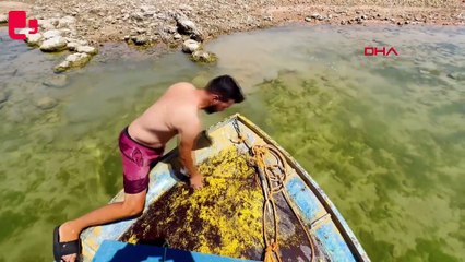 Dersimli balıkçılar 'su kerevit'lerini Avrupa'ya ihraç ediyor