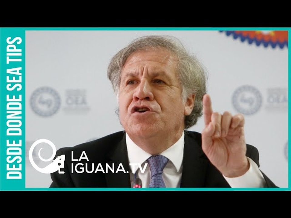Bolivia y Ecuador: Dos casos emblemáticos de cómo opera la OEA de Almagro en contra de la democracia