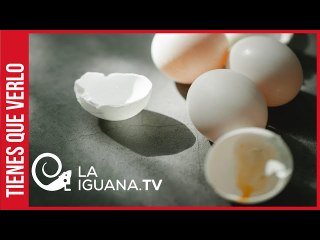 Un cascarón vacío: Así los Guaidó boys esperan hacerse con la plata que el OFAC le robó a Venezuela