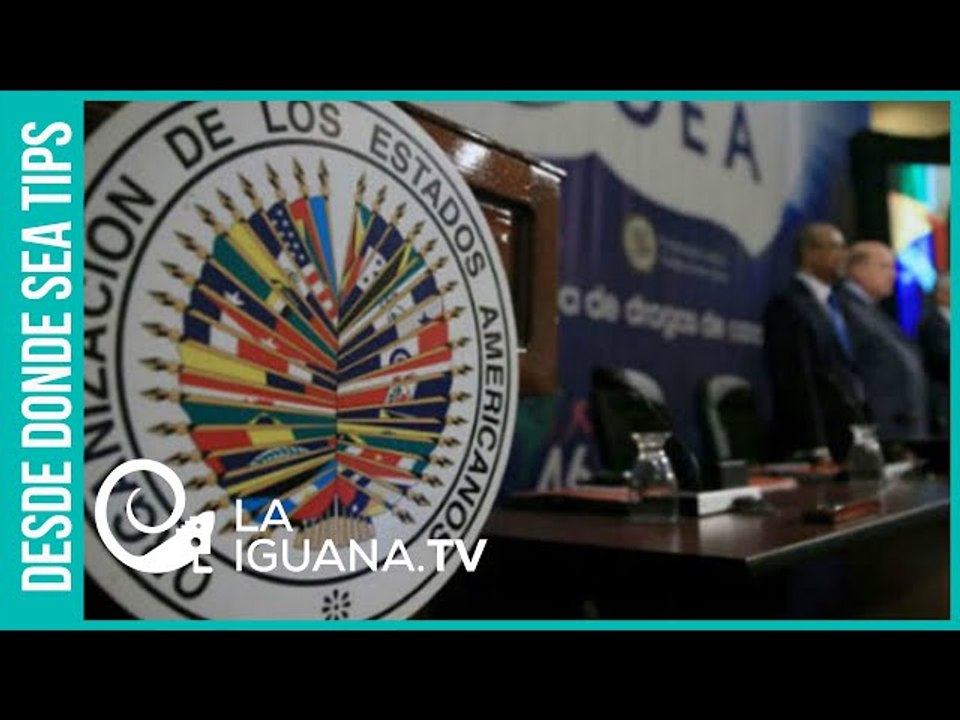 ¡Lacayo sin dignidad! Bajo la presidencia de Almagro la OEA perdió toda su credibilidad