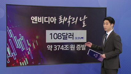 엔비디아 9.5% 폭락에 퍼렇게 멍든 한국 증시 [앵커리포트] / YTN