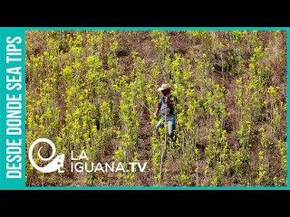 Descaro genocida: En Colombia asesinaron a más de 1.000 líderes sociales desde la firma de la paz