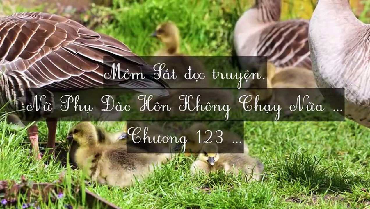 C122-C128 (Hết) Nữ Phụ Đào Hôn Không Chạy Nữa