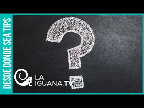 Muchos indecisos y correismo dividido: Fuertes incógnitas en la segunda vuelta electoral en Ecuador