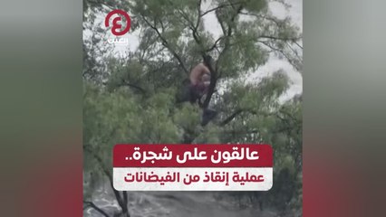 عالقون على شجرة.. عملية إنقاذ من الفيضانات